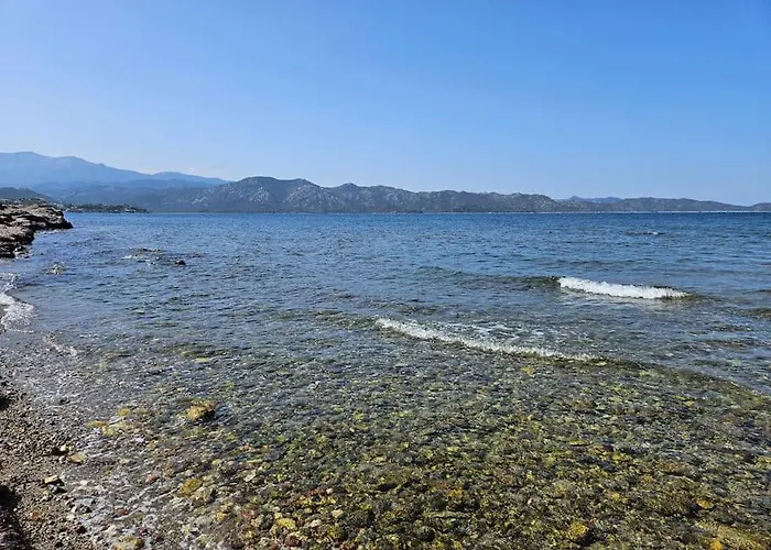 Mare Vista By Monarca